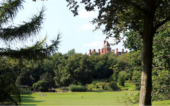 View of Avenham Park's green space through the trees.