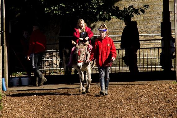 Child riding donkey