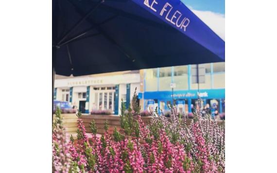 Pink flowers and blue awning over the street outside Le Fleur Bar