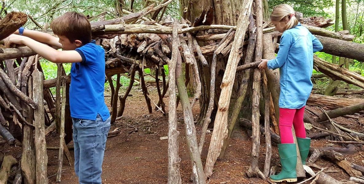 Kids building a den