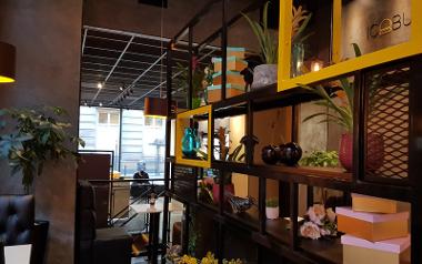 A seating area inside IceBurg Preston with a shelf of various object and plants for decoration