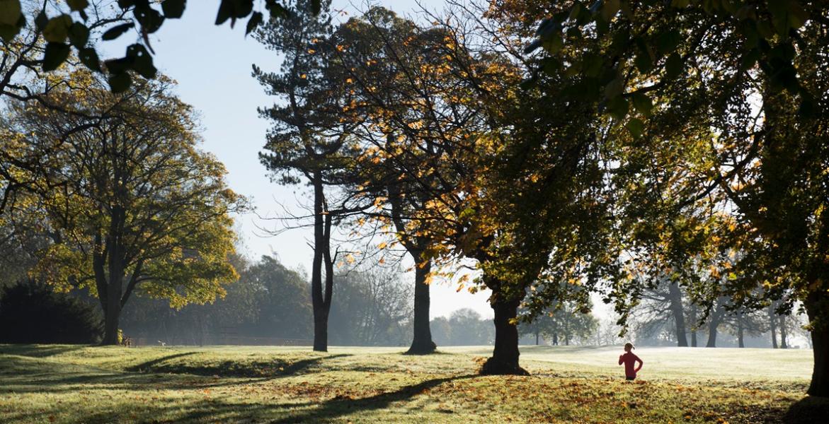 Person running through Moor Park