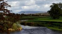 Bowland Dark Skies: Badger Bimble