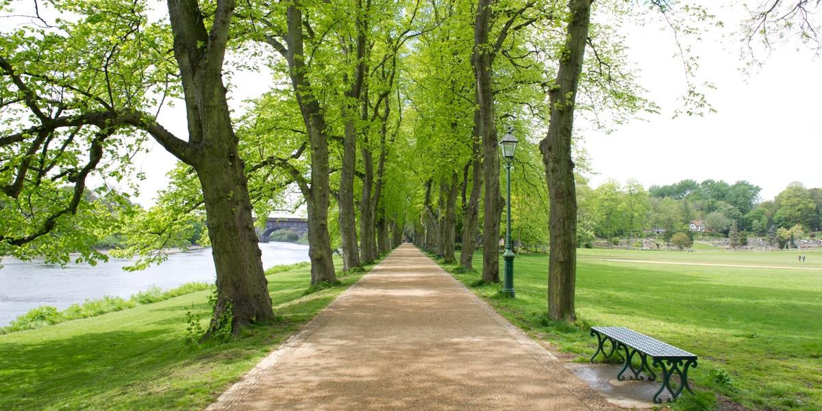 Accessible path along the River Ribble in Avenham Park.