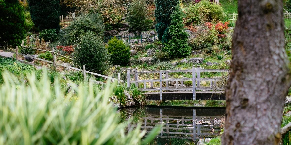 Bridge and peaceful scenery in Japanese Gardens in Avenham & Miller Parks, Preston.