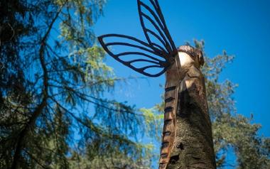 Wooden dragonfly sculpture on Beacon Fell's Sculpture Trail.