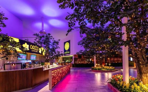 Flower Bowl's cafe and entrance area with indoor trees lit with fairy lights.