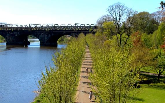 People walking along tree-lined path along River Ribble in Miller Park with railway bridge to Preston Train Station in background.