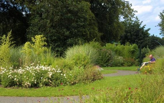 Man reading newspaper in gardens of Moor Park on sunny day.