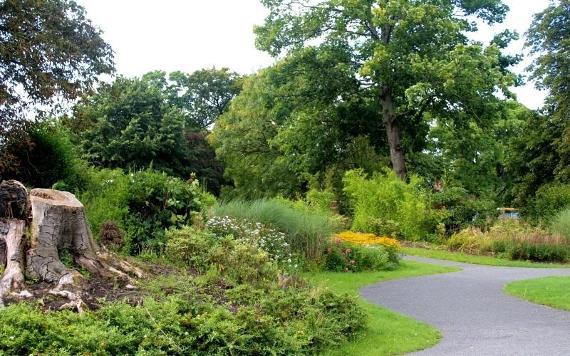 Flowers and winding path in Moor Park gardens on sunny day.