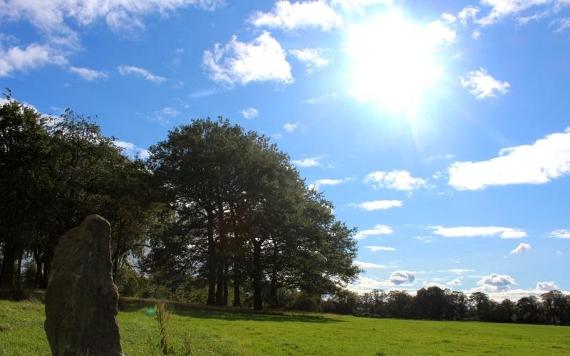 Rock feature and wooded area in Moor Park on a sunny day.