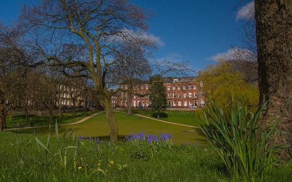 Colourful spring flowers in Winckley Square Gardens, Preston.