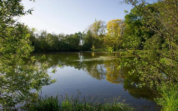 View of Haslam Park pond.