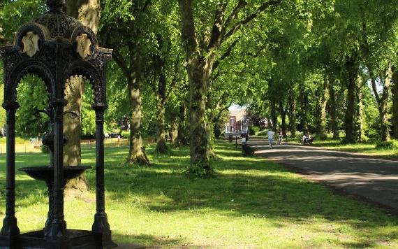 Historical drinking fountain along Haslam Park path.