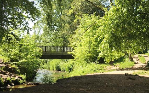 Bridge crossing stream in Haslam Park.