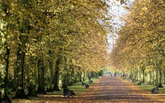 Haslam Park tree-lined path on autumn day.