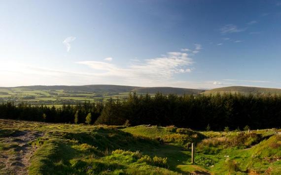 View of trees and hills from Beacon Fell summit.