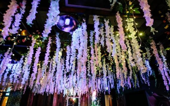 Fake blossom plants hanging from ceiling inside Review cocktail bar.