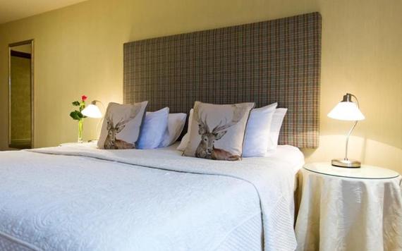 Gibbon Bridge bed in hotel room with stag cushions and check headboard.