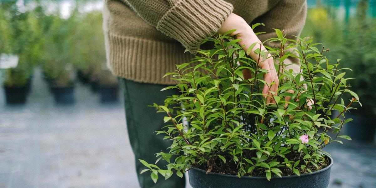 Woman stood outdoors with plant in her hand.