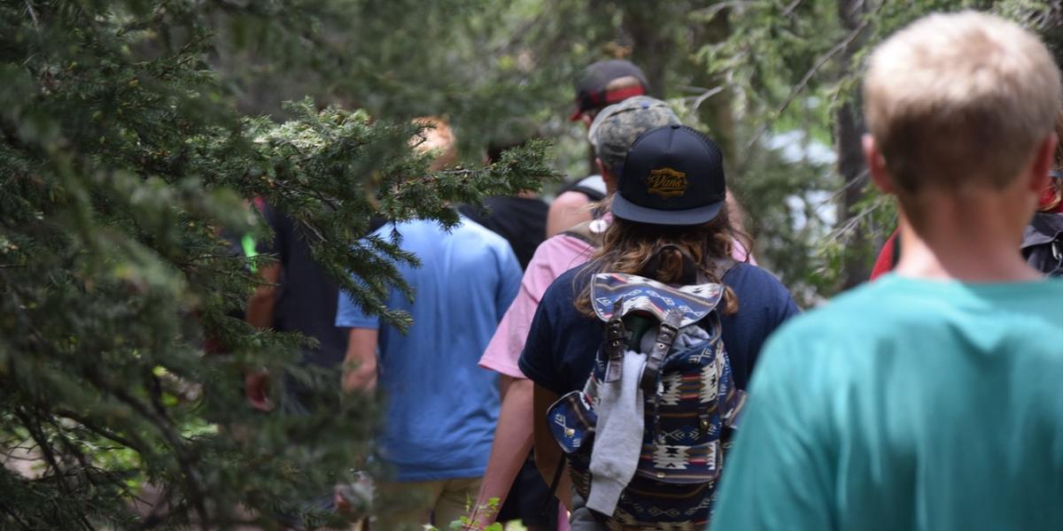 Group walking through woodland.