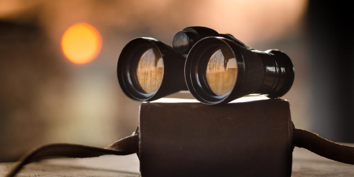 Binoculars placed on case with reflection of trees in lenses. 